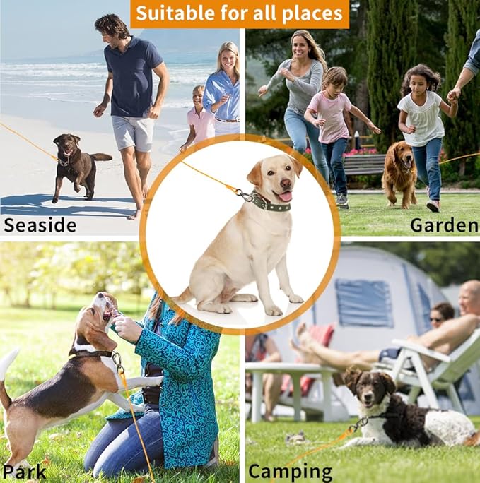 Dog tie Out Cable, 10/20/25/30/50/70/100 feet, Suitable for Dogs up to 350 pounds, Dog Cable with Swivel Buckle, Lightweight, Non-Winding, for Outdoor Camping, Yard Dog Cable (Orange, 100FT)