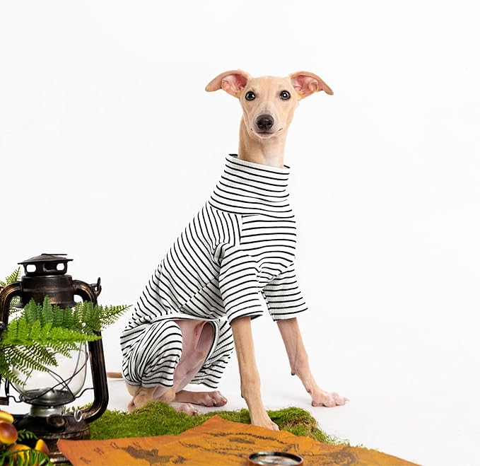 Dog Sweaters for Small Dogs Girls Boys, Striped Pet Sweaters for Fall Winter Dog Clothes, Turtleneck Pullover Knitwear for Small Medium Large Dogs