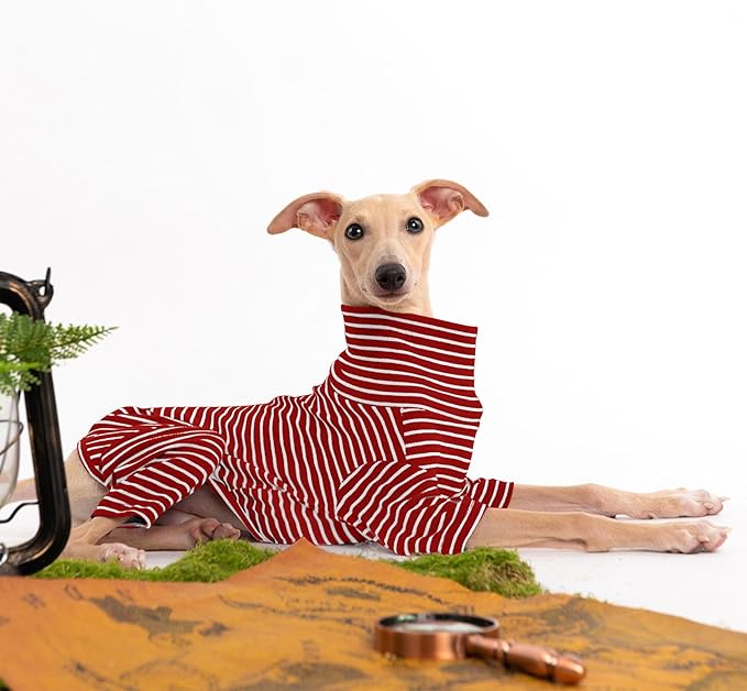 Dog Sweaters for Small Dogs Girls Boys, Striped Pet Sweaters for Fall Winter Dog Clothes, Turtleneck Pullover Knitwear for Small Medium Large Dogs