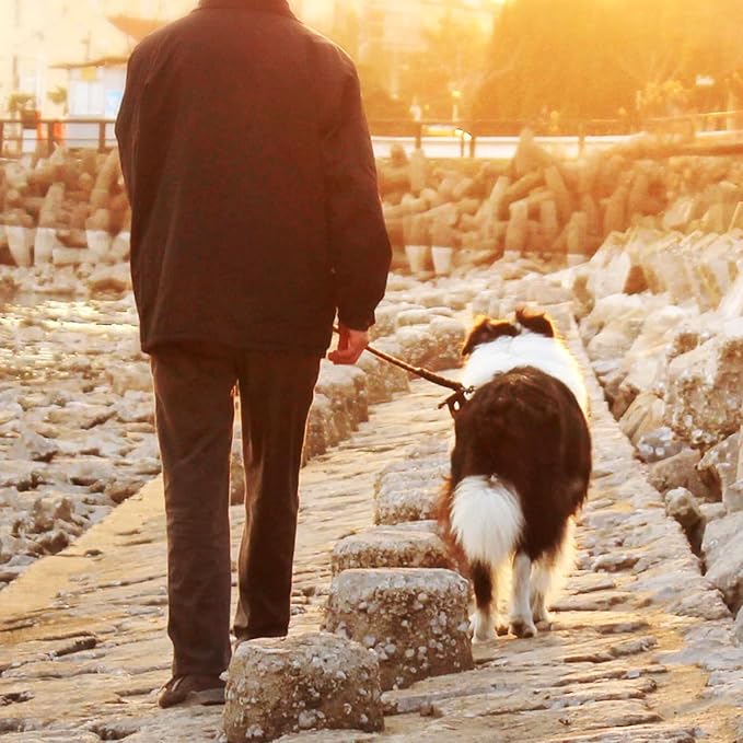 Dog Tie Out Cable,20ft Dog Lead-Heavy Duty Tie Out Cable for for Large Dogs Up to 125lbs-Dog Chain for Yard-Outside Dogs Runner Tether Line