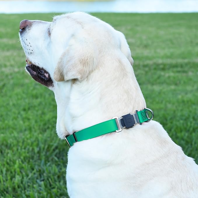Dogline Biothane Waterproof Dog Collar with Herm Sprenger Stainless Steel Quick Release Buckle – Heavy Duty Tactical Durable Collar for Dogs – Comfortable and Safe Pet Collar, W 1" L 15-25", Teal