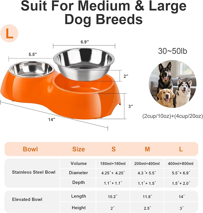 Elevated Dog Bowls Set - Non-Slip Raised Pet Feeder with Medium (10 oz) & Large (20 oz) Stainless Steel Bowls - Includes Durable Resin Stand for Puppies, Adult Dogs & Cats - Orange