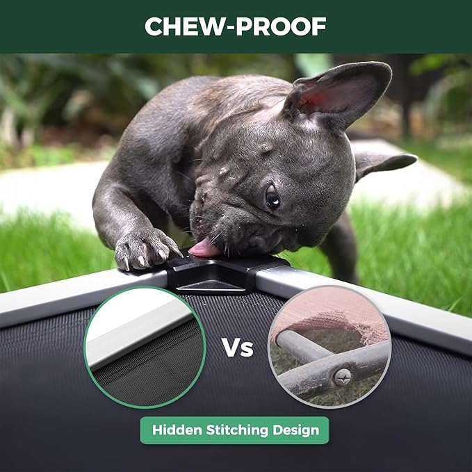 FXW TitanNest Chew-Proof Elevated Dog Bed, Raised Cot for Indoor/Outdoor/Camping Use, Durable & Waterproof Cooling Pet Bed for Toy Dogs, 24.0" L x 20.0" W x 4.1" H, Black