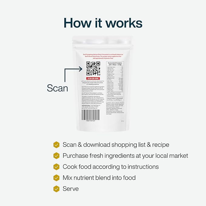 JustFoodForDogs DIY Nutrient Blend for Homemade Dog Food, Beef & Russet Potato, 4.55oz