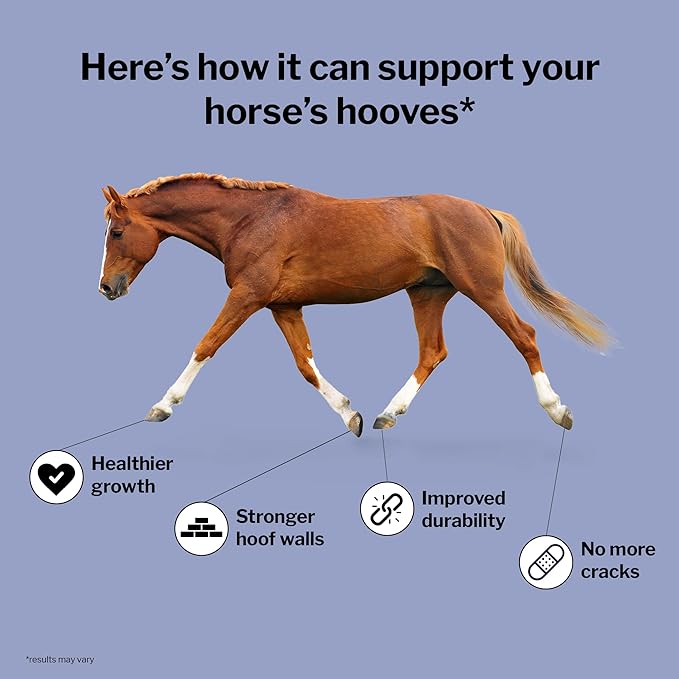 Formula 707 Hoof Health Equine Supplement, Daily Fresh Packs, 56 Day Supply - Biotin, Amino Acids, and Minerals to Improve and Support Healthy Horse Hooves
