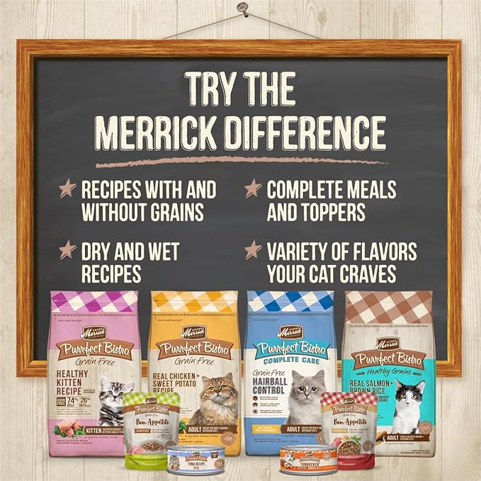 Merrick Purrfect Bistro Grain Free Premium Soft Canned Pate Chicken Wet Cat Food, Kitten Dinner Recipe - 5.5 OZ Can
