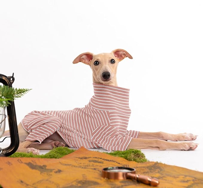 Dog Sweaters for Small Dogs Girls Boys, Striped Pet Sweaters for Fall Winter Dog Clothes, Turtleneck Pullover Knitwear for Small Medium Large Dogs