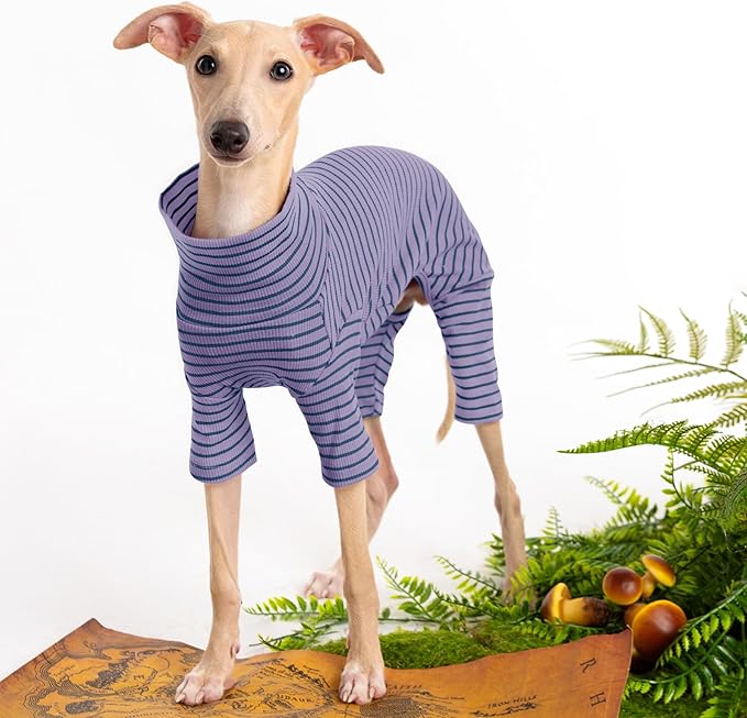 Dog Sweaters for Small Dogs Girls Boys, Striped Pet Sweaters for Fall Winter Dog Clothes, Turtleneck Pullover Knitwear for Small Medium Large Dogs