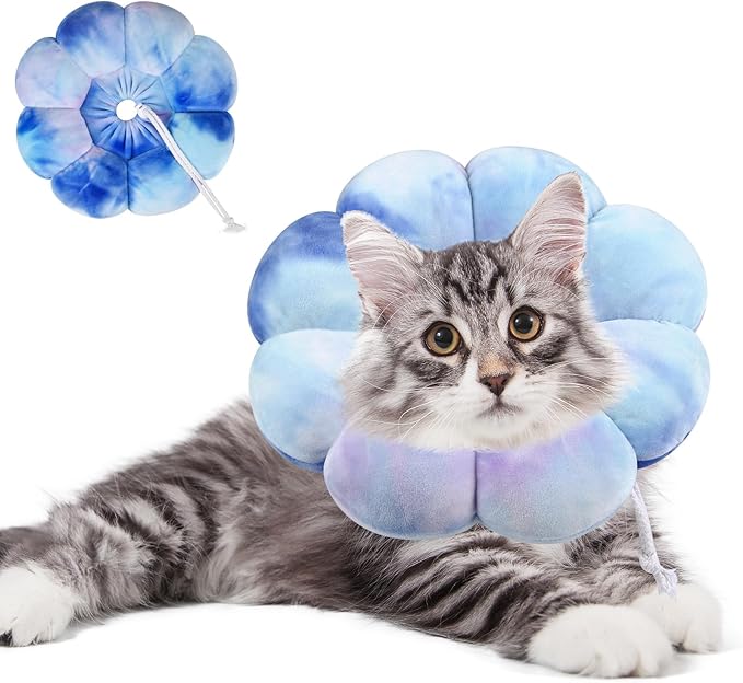 Dog Cat Surgical Recovery Cone Dog Protective Collar, Pet Recovery E-Collar Soft Neck Cone to Stop Licking Wound for Cats & Kittens Small Dog After Surgery
