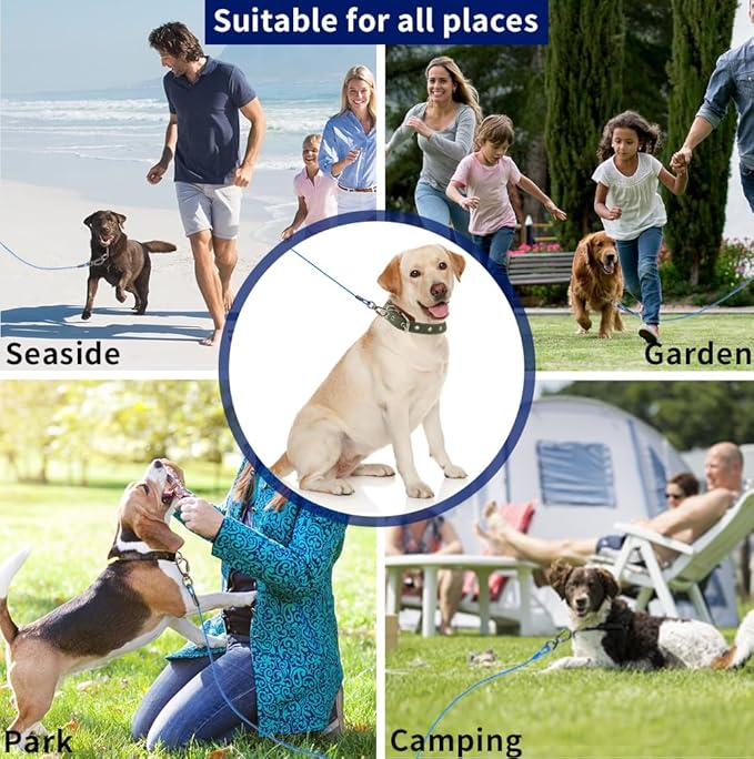 Dog tie Out Cable, 10/20/25/30/50/70/100 feet, Suitable for Dogs up to 350 pounds, Dog Cable with Swivel Buckle, Lightweight, Non-Winding, for Outdoor Camping, Yard Dog Cable (Blue, 30FT)