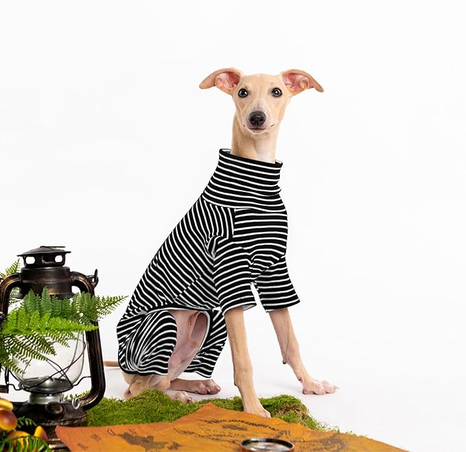 Dog Sweaters for Small Dogs Girls Boys, Striped Pet Sweaters for Fall Winter Dog Clothes, Turtleneck Pullover Knitwear for Small Medium Large Dogs