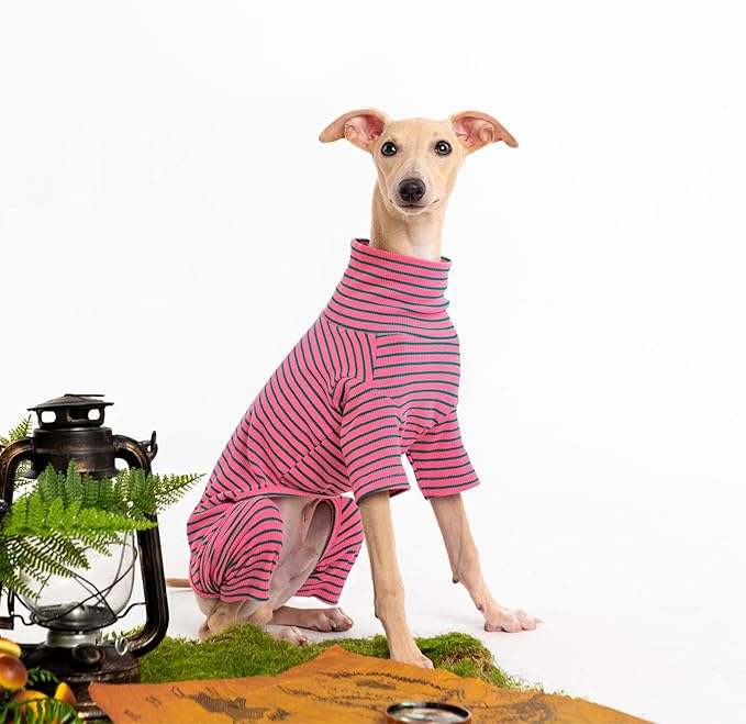 Dog Sweaters for Small Dogs Girls Boys, Striped Pet Sweaters for Fall Winter Dog Clothes, Turtleneck Pullover Knitwear for Small Medium Large Dogs