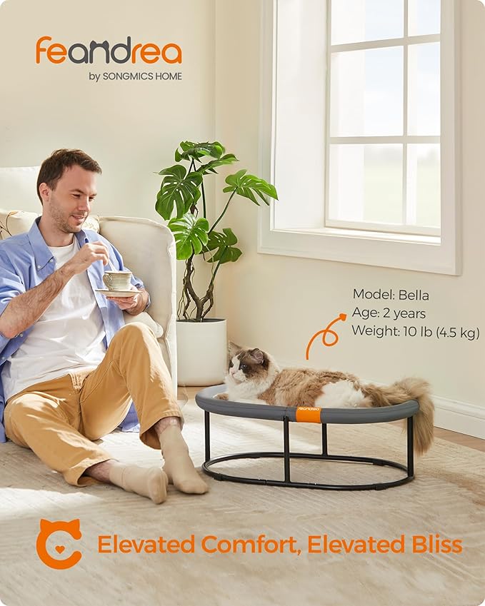 Feandrea Pet Bed, Cat Hammock, Elevated Cat Bed for Multiple Cats, with Removable Washable Mesh, for Pets up to 28 lb, Oval, Gray UPCB002G01