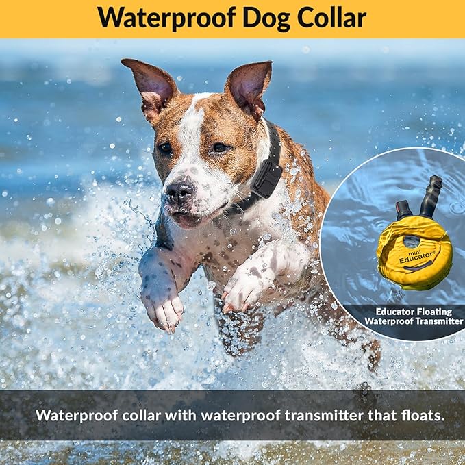 Educator E-Collar Humane Dog Training Collar with Remote, 100 Safe Tapping Stimulation Levels, Night Light, Waterproof, Rechargeable, 1/2 Mile 2 Small-Medium Dogs, Yellow