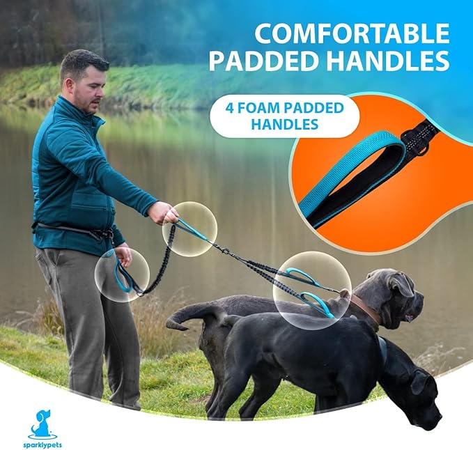 SparklyPets - Hands Free Dual Dog Leash for Medium and Large Male Dogs - Padded Handles, Reflective Stitches, No Pull, Tangle Free - Walking, Hiking, Jogging, Canicross Waist Leash - Gradient Blue