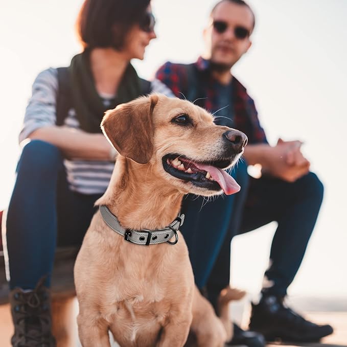 Fida Heavy Duty Dog Collar, Ultra Comfortable Soft Neoprene Padded, Adjustable Reflective Nylon Pet Collar with Durable Metal Belt Buckle for Small Breeds (S, Grey)