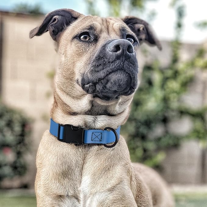 Dogline Biothane Waterproof Dog Collar with Quick Release Buckle Strong Coated Nylon Webbing with Odor- Proof for Easy Care Easy to Clean Fits Small Medium Large Dogs, Dogline Blue 5/8" W 9-14" L