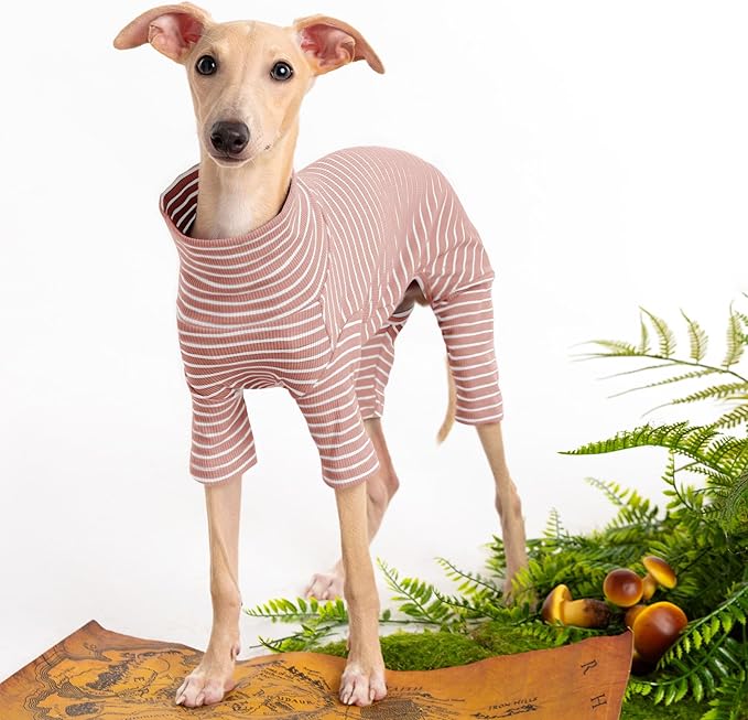 Dog Sweaters for Small Dogs Girls Boys, Striped Pet Sweaters for Fall Winter Dog Clothes, Turtleneck Pullover Knitwear for Small Medium Large Dogs