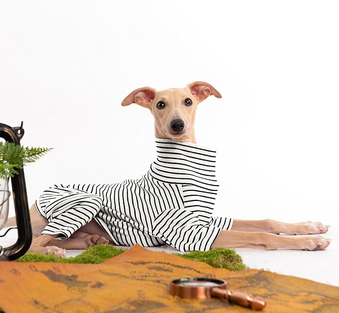 Dog Sweaters for Small Dogs Girls Boys, Striped Pet Sweaters for Fall Winter Dog Clothes, Turtleneck Pullover Knitwear for Small Medium Large Dogs