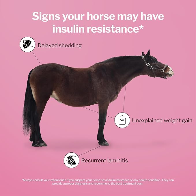 Formula 707 MetaStable Pellets for Horses 5 lb Bag – 40 Servings – University-Studied Support for Horses with Laminitis, Insulin Resistance & Metabolic Disorders