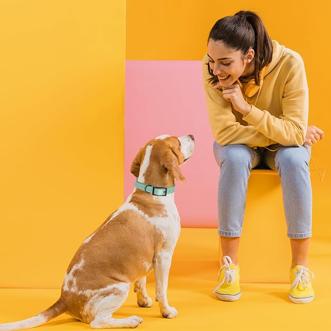 Dogline Biothane Waterproof Dog Collar Strong Coated Nylon Webbing with Black Hardware Odor- Proof for Easy Care Easy to Clean High Performance Fits Small Medium or Large Dogs, Sage Green