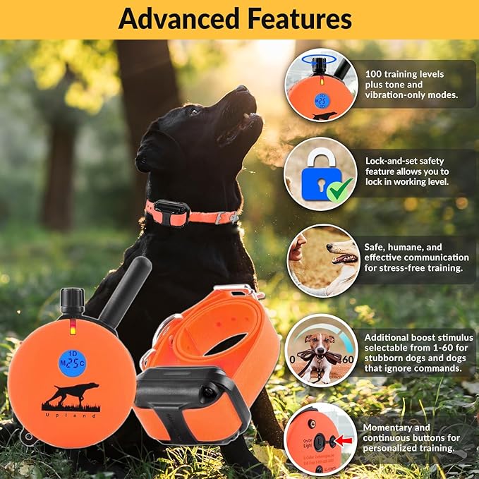 Educator E-Collar Humane Dog Training Collar with Remote, 100 Safe Tapping Stimulation Levels, Night Light, Waterproof, Rechargeable, 1 Mile 1 Large Dog, Orange