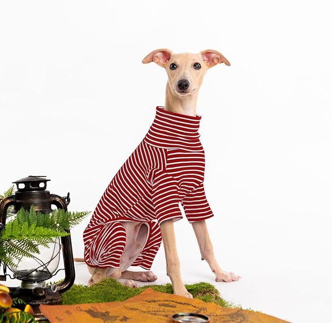 Dog Sweaters for Small Dogs Girls Boys, Striped Pet Sweaters for Fall Winter Dog Clothes, Turtleneck Pullover Knitwear for Small Medium Large Dogs