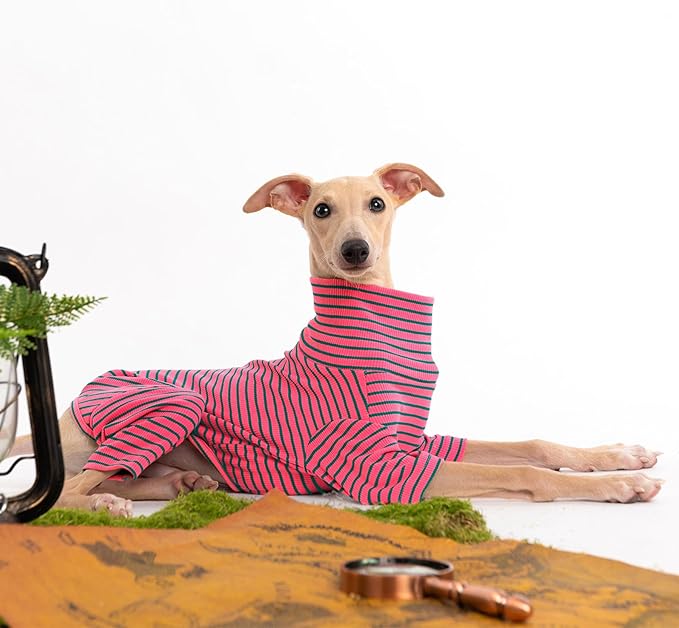 Dog Sweaters for Small Dogs Girls Boys, Striped Pet Sweaters for Fall Winter Dog Clothes, Turtleneck Pullover Knitwear for Small Medium Large Dogs