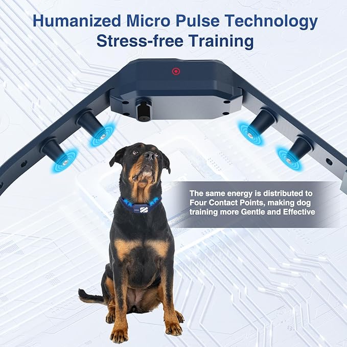 Dog Training Collar 2 Dogs with 3 Night Lights-4200FT E Collar for Dogs Training, 4 Powerful Modes with 119 Training Levels Rechargeable Electric Dog Collar for 20-140 lbs Dogs