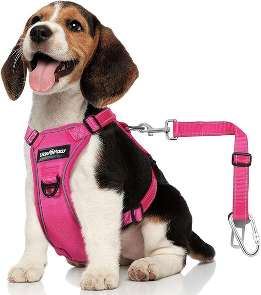 Dog Seat Belt Harness for Car, Dog Car Harness Adjustable Mesh Breathable & Dog Seatbelt Safety Tether with Elastic Bungee for Small Medium Large Pets(Rose, M)