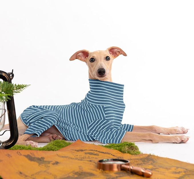 Dog Sweaters for Small Dogs Girls Boys, Striped Pet Sweaters for Fall Winter Dog Clothes, Turtleneck Pullover Knitwear for Small Medium Large Dogs