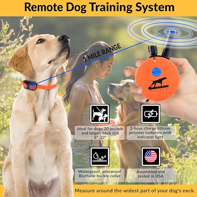 Educator E-Collar Humane Dog Training Collar with Remote, 100 Safe Tapping Stimulation Levels, Night Light, Waterproof, Rechargeable, 1 Mile 2 Large Dogs, Orange
