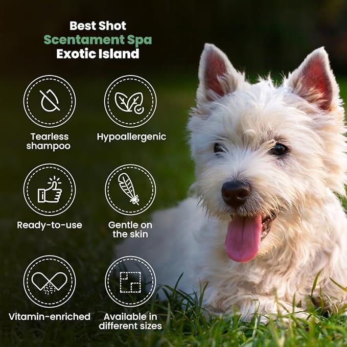 Best Shot Scentament Spa Seasonal Facial & Body Wash, Exotic Island, 16 oz