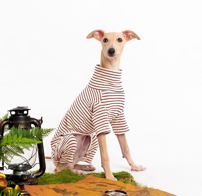 Dog Sweaters for Small Dogs Girls Boys, Striped Pet Sweaters for Fall Winter Dog Clothes, Turtleneck Pullover Knitwear for Small Medium Large Dogs