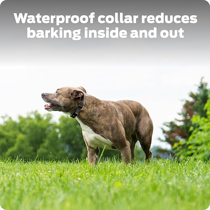 Dog Bark Collar- Waterproof - Rechargeable Digital Bark Collar Anti Barking Collar with 5 Adjustable Sensitivity Levels Dogs