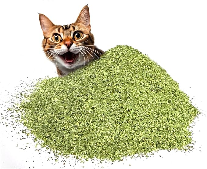 Fiend Catnip Safety-Cut 100% Pure Potent Fine Cat Nip for Cats & Kittens – Ultra Potent, North American – 1 Cup (34.5g) Canister – Go Ahead, Create a Monster!