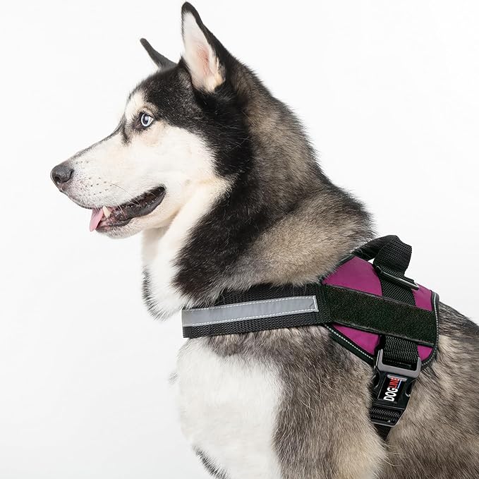 Dogline Reflective No-Pull Adjustable Vest with Handle for Walking, Training, Service Breathable No - Choke Harness for Small, Medium or Large Dogs Room for Patches Girth 15 to 18 in Pink