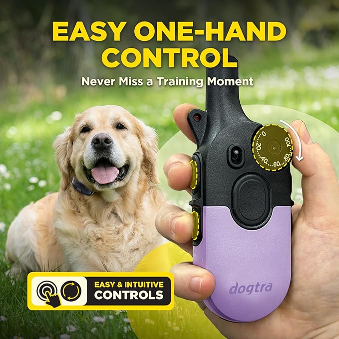 Dogtra 200iQ Remote Training E Collar – 100 Levels, Tone, Vibration, 1/2 Mile Range – Compact, Waterproof, One-Handed Control for Dogs 10 lbs+ – Lightweight Design for Daily Training – Lavender