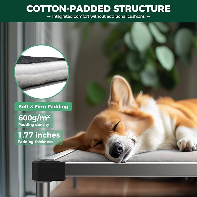 FXW TitanNest Chew-Proof Elevated Dog Bed, Raised Cot for Indoor/Outdoor/Camping Use, Durable & Washable Padded Pet Bed with Exclusive Reuseable Cover for Small Dogs, 36.0" L x 24.0" W x 4.5" H, Gray