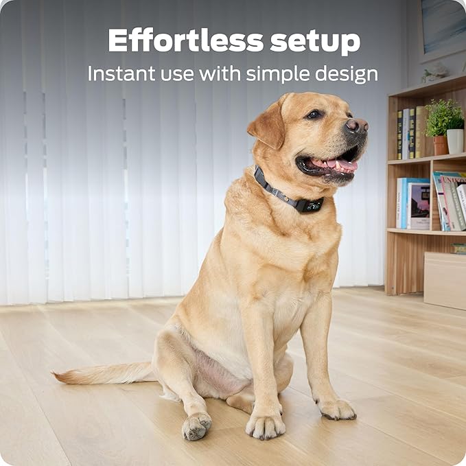 Dog Bark Collar- Waterproof - Rechargeable Digital Bark Collar Anti Barking Collar with 5 Adjustable Sensitivity Levels Dogs