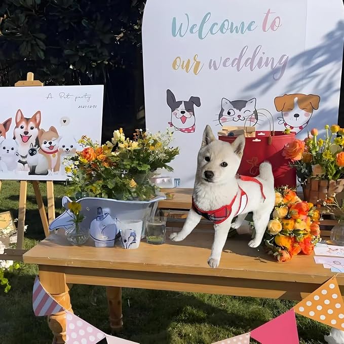 Dog Tuxedo for Wedding, Formal Pet Suit with Bow Tie and Leash, Adjustable Dog Costume for Small Medium Large Dogs, Birthday Christmas Halloween Party Apparel, M（8-14LB）