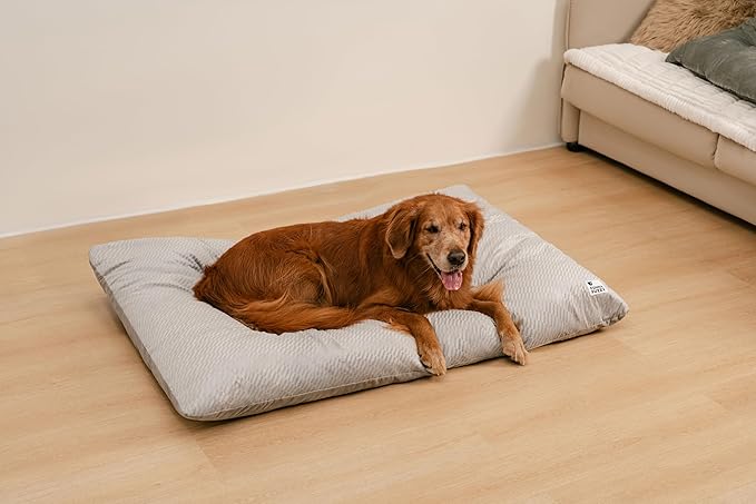 FUNNY FUZZY Washable Dog Bed,Reversible Plush Dog Crate Mat, Soft Fluffy Kennel Pad,Pet Sleeping Mattress for Jumbo,X-Large Sized Dogs Breeds,2XL,48"× 31",Light Grey