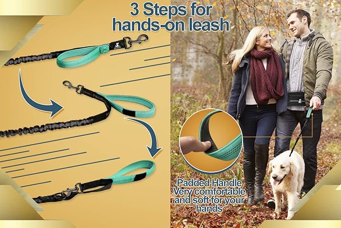 SparklyPets Hands Free Dog Leash for Medium and Large Breeds – Professional Harness with Reflective Stitches for Training, Walking, Jogging and Running Your Pet (Premium Teal, for 1 Dog)