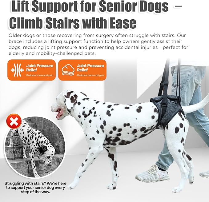 Dog Sling for Medium Large Dog Rear Leg, Lift Harness Provide Support with Muscle Atrophy and Joint Problems for Elderly Injured Arthritic Pet, Dog Weak Rear Legs Provides Rehabilitation Aid
