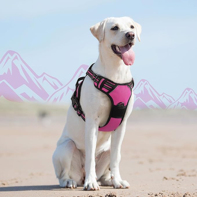 Eagloo Dog Harness for Large Dogs, No Pull Service Vest with Reflective Strips and Control Handle, Adjustable and Comfortable for Easy Walking, No Choke Pet Harness with 2 Metal Rings, Rose Red, L