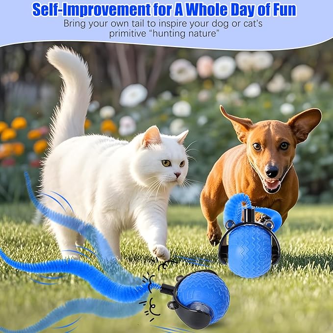 nteractive Cat Ball Toy, Cat Toy Ball with Cord Imitation Mouse, Obstacle Avoidance Smart CatToy Balls, Motion Activated Toys to Keep Them Busy (Blue, 1)