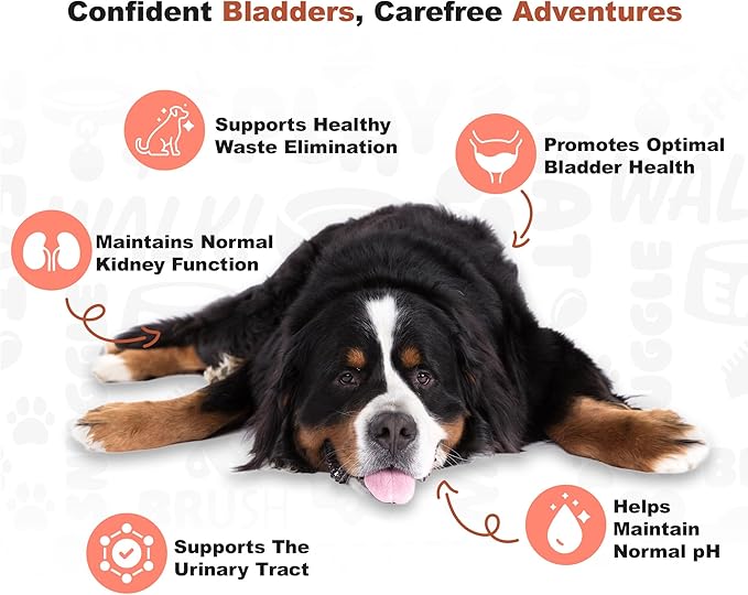 Doggie Dailies Cranberry Supplement for Dogs Bacon Flavored - Urinary Tract, Bladder & Kidney Support for Dogs - Cranberry with Marshmallow Root, Licorice Root & Apple Cider Vinegar, 225 Soft Chews