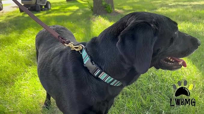 LWBMG Leather Dog Leash - 8ft Heavy Duty, Braided, Comfortable for Medium Large Dogs