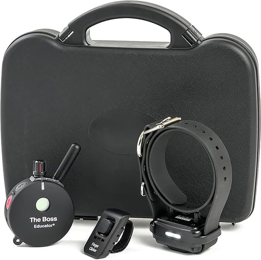 Educator E-Collar Humane Dog Training Collar with Remote, Features 100 Levels of Safe Stimulation, Tapping Sensation, Night Light, Waterproof, Rechargeable, 1 Mile 1 Dog, Black