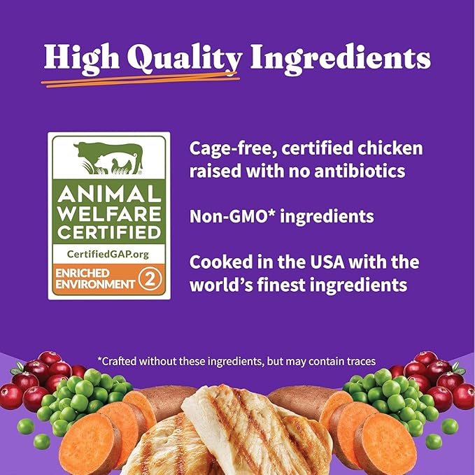 Halo Holistic Cage Free Chicken Cat Food, Healthy Grains Dry Cat Food, Complete Digestive Health, Kibble for Adult Cats, 3 lb Bag